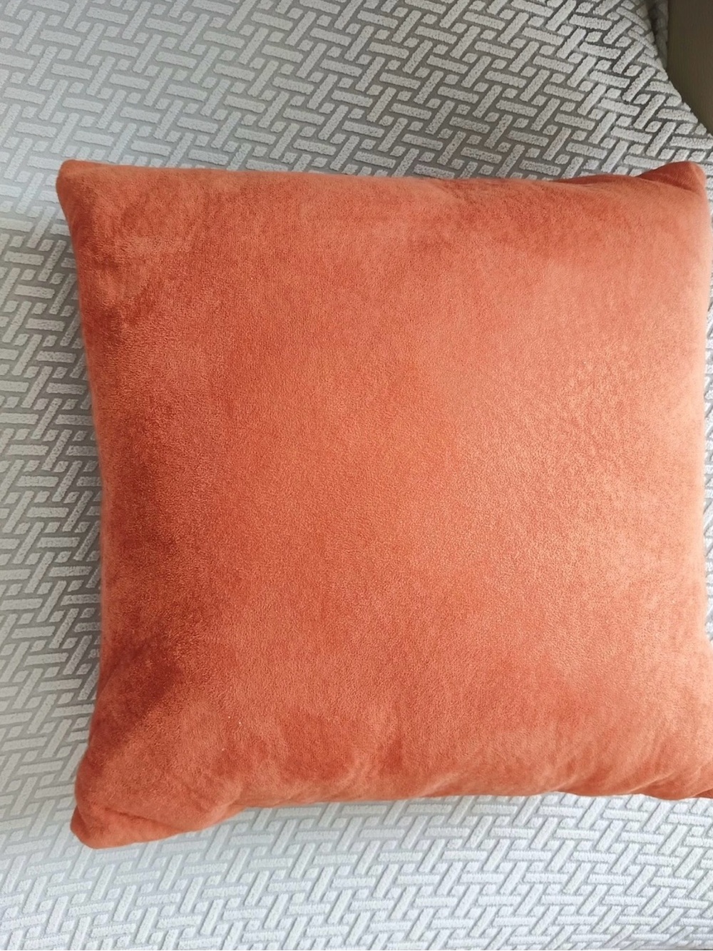 Plush Coral Accent Pillow - Soft Velvet Decorative Throw